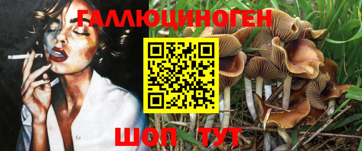 Псилоцибиновые грибы Cubensis  Вход с VPN  Белебей 